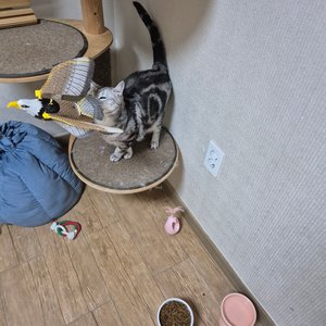 베스트 후기 이미지