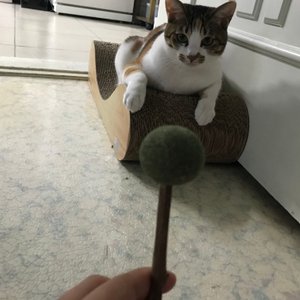 베스트 후기 이미지