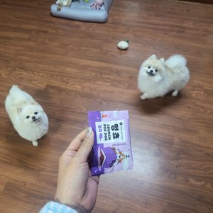 베스트 후기 이미지