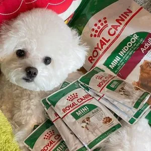 베스트 후기 이미지