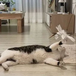 베스트 후기 이미지