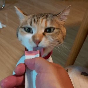 베스트 후기 이미지