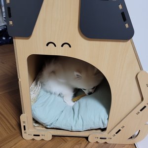 베스트 후기 이미지
