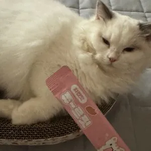 베스트 후기 이미지