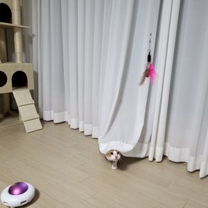베스트 후기 이미지