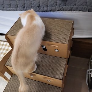 베스트 후기 이미지