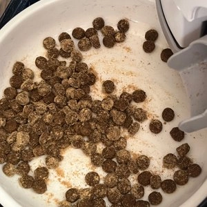 펫생각 신장 신부전 췌정 요로 영양제 30포 베스트 후기 이미지