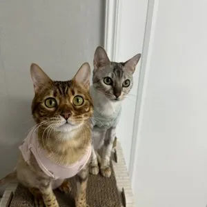 베스트 후기 이미지