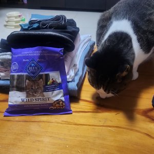 베스트 후기 이미지