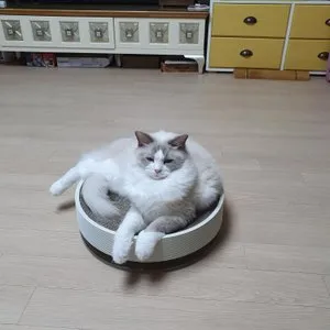 베스트 후기 이미지