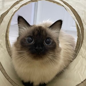베스트 후기 이미지