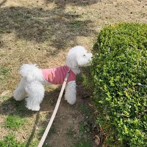 베스트 후기 이미지