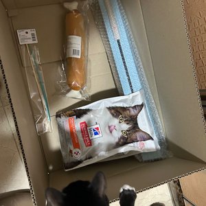 베스트 후기 이미지