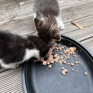 베스트 후기 이미지