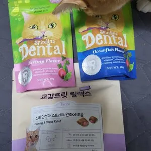 베스트 후기 이미지