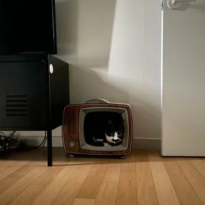 베스트 후기 이미지