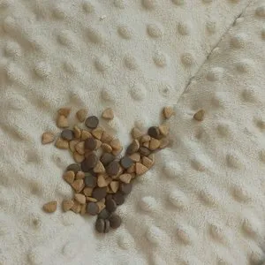 베스트 후기 이미지