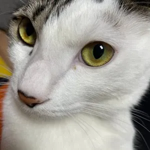 베스트 후기 이미지