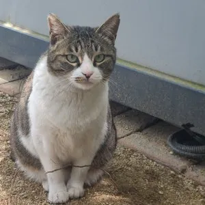 베스트 후기 이미지