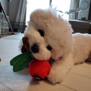 베스트 후기 이미지