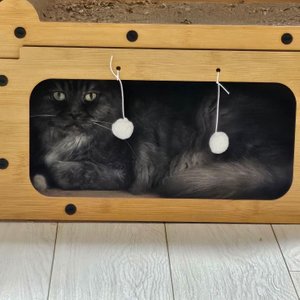 베스트 후기 이미지