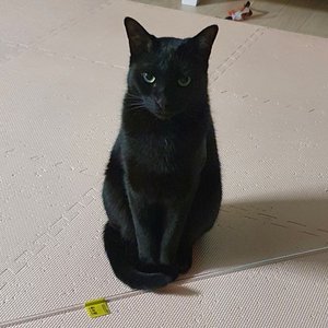 베스트 후기 이미지