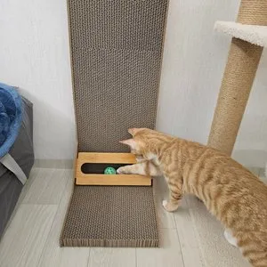 베스트 후기 이미지