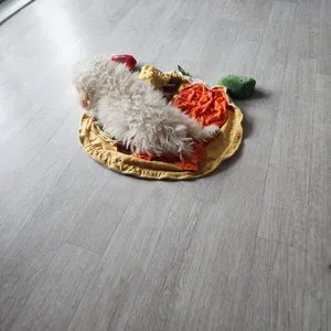 베스트 후기 이미지