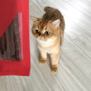 베스트 후기 이미지