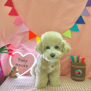 베스트 후기 이미지