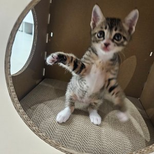 베스트 후기 이미지