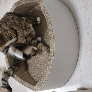 베스트 후기 이미지