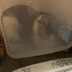 베스트 후기 이미지