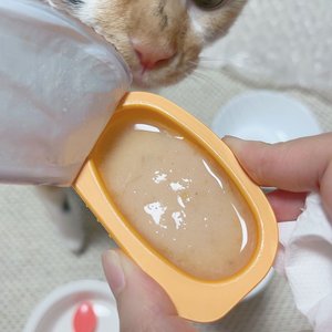 베스트 후기 이미지