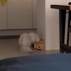 베스트 후기 이미지