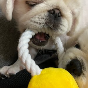 베스트 후기 이미지