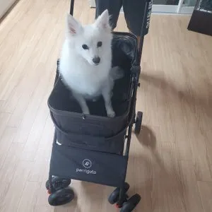 베스트 후기 이미지