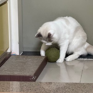 베스트 후기 이미지