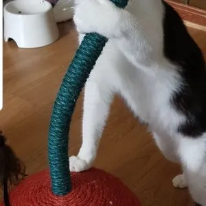 베스트 후기 이미지