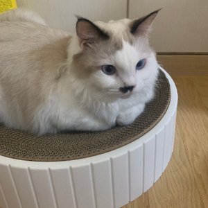 베스트 후기 이미지