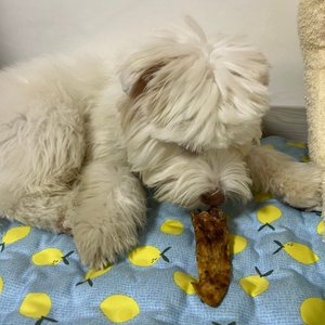 베스트 후기 이미지