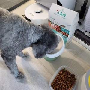 닥터소프트 독 치킨 시니어 1.2kg 베스트 후기 이미지