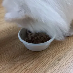 베스트 후기 이미지