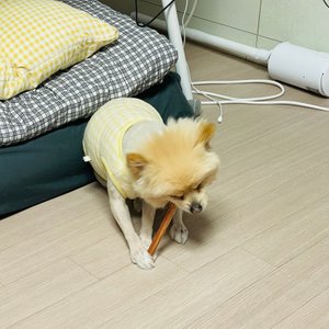 베스트 후기 이미지