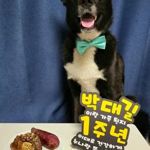 베스트 후기 이미지