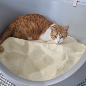 베스트 후기 이미지