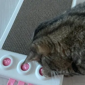 베스트 후기 이미지