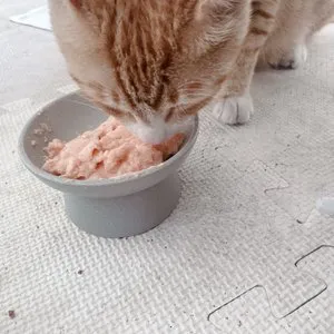 베스트 후기 이미지