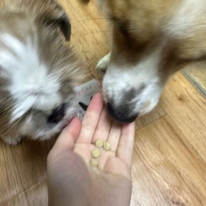 베스트 후기 이미지