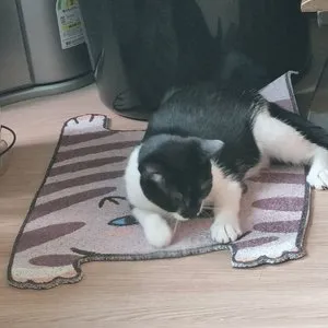 베스트 후기 이미지